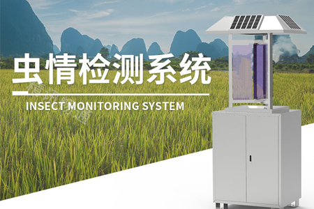 蟲情監測系統